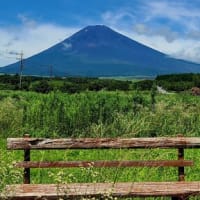 今日の富士山