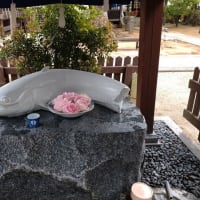 嬉野の豊玉姫神社