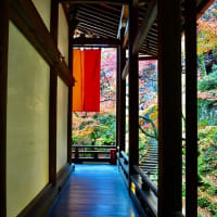 京都、静寂な古都の風？？？      　山口　克治
