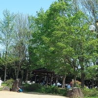 八尾木公園