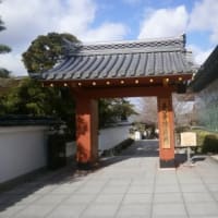 京都ぶらり   宇治散策