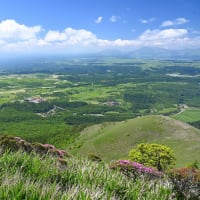 くじゅう・猟師山 ミヤマキリシマ お花見登山（2024年）