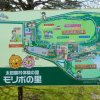 ★旧太田町長信田を往く－7⑥