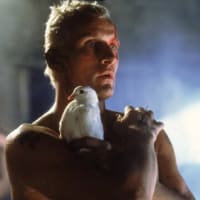 ｇｏｏブログ終了までに、「ひとり」映画オールタイムベスト１０１を完結させるぜ＾＾（５５）