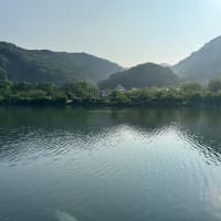 真夏の別邸わんこ日和　湯浦川から