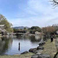 奈良公園　桜散策　浮見堂　2025/4/05