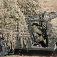 ウクライナ情勢-ロシア軍大規模オートバイ攻撃を開始,ザポリージャ州夏季攻勢