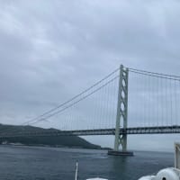 海の上から。