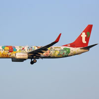 最近見た航空機　　福岡空港