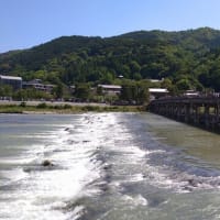 新緑の京都をことことと歩いて！！！（２日目、小倉山エリア）