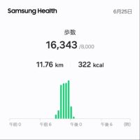 執念の勝利、対天気。