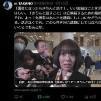 入れてはいけない杉田水脈