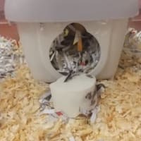 断捨離