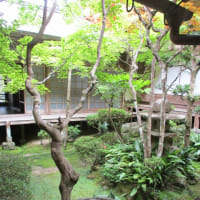 最後のカヌーバスケット・・・