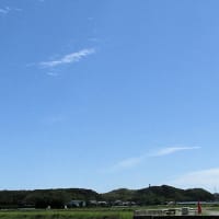 6月の花 ９