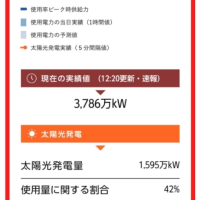 東電の発電の40%を太陽光発電が担う2024年6月11日