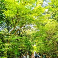 2025年（令和7年）5月例会行事