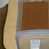 甘酒使用の米ヌカ醗酵エサ