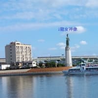 堺旧港から関西万博行の船