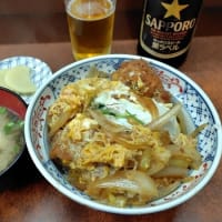 今年初の「夏日」