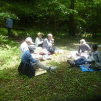 和7年度　NTT-OB伊東地区旅行同好会春のハイキング