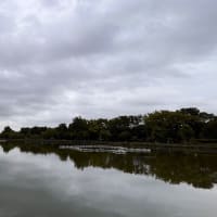 火曜日はお休みです。