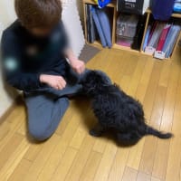 おやつはどっち❓