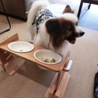 ふうたくんとレジーナ長浜(^^♪＆月命日