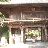 四国88か所、お遍路の旅続行中です。
