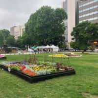 札幌大通り公園　花フェスタ2025