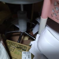 キラキラの光　夏日