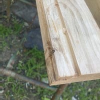 溝切カッター