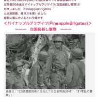 日航JAL123便のPineappleBrigates（パイナップル・ブリゲイツ）は民間人も？いる？らしい【自国民殺し軍隊】