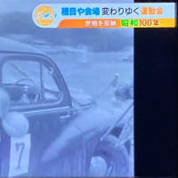 ＲＫＢ『タダイマ』より ＂車の運動会＂