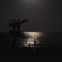 満月の夜。帰り道。日南海岸。