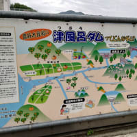 琵琶湖水系＆和歌山の海で釣り場探し