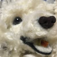 続・くーちゃん2号🥺🧡