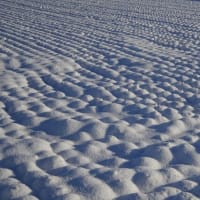 雪景色