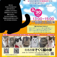 くるねこ大和