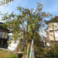 記事のタイトルを入力してください（必須）