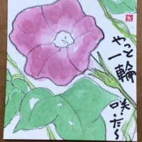 やっと　一輪咲いた〜