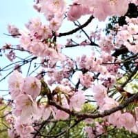 春〜spring〜