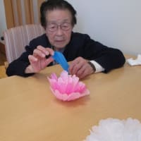 六月に入りました(*^^*)