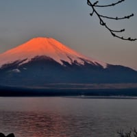 トミーの写真散歩！！