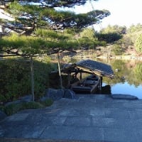 日本庭園にて～昭和記念公園～