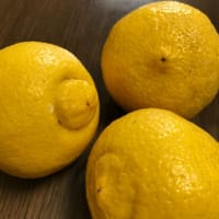みかん