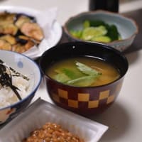 朝に茄子の素揚げ、最高です