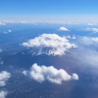 87.　お願い致します