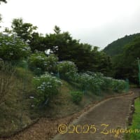 久々の山行、それは人生の縮図だった... Part 2