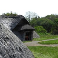  つれづれなるままに             1508　　吉野ケ里遺跡　山内丸山遺跡